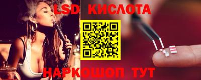 эйфоретик Славгород
