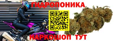 эйфоретик Славгород