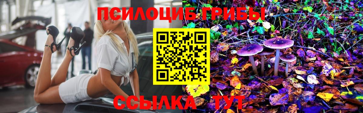 Псилоцибиновые грибы мухоморы Острогожск
